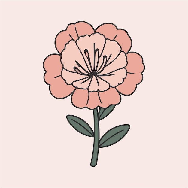 Vector illustration of a cute carnation for toddlers books