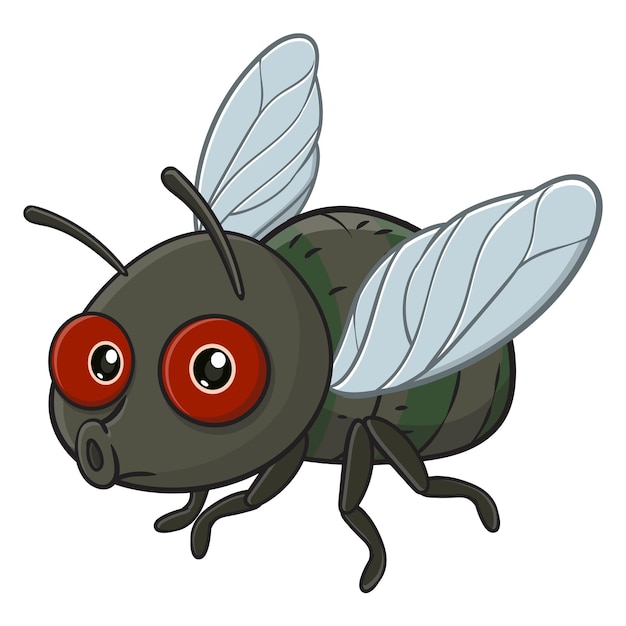 Vector vector illustration of cute cartoon fly isolated on white