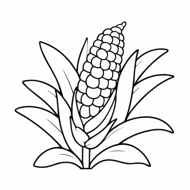 Vector vector illustration of a cute corn hand drawn for kids coloring page