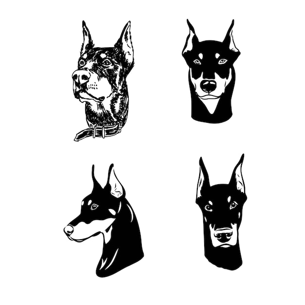 Vector vector illustration of cute doberman cartoon