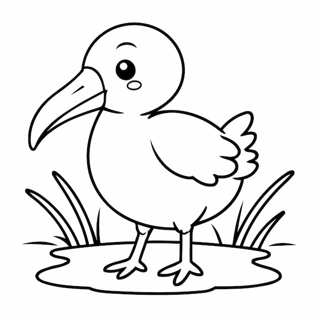 Vector illustration of a cute Ibis for kids colouring page