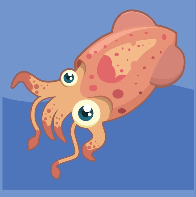 Vector vector illustration of cute little squid