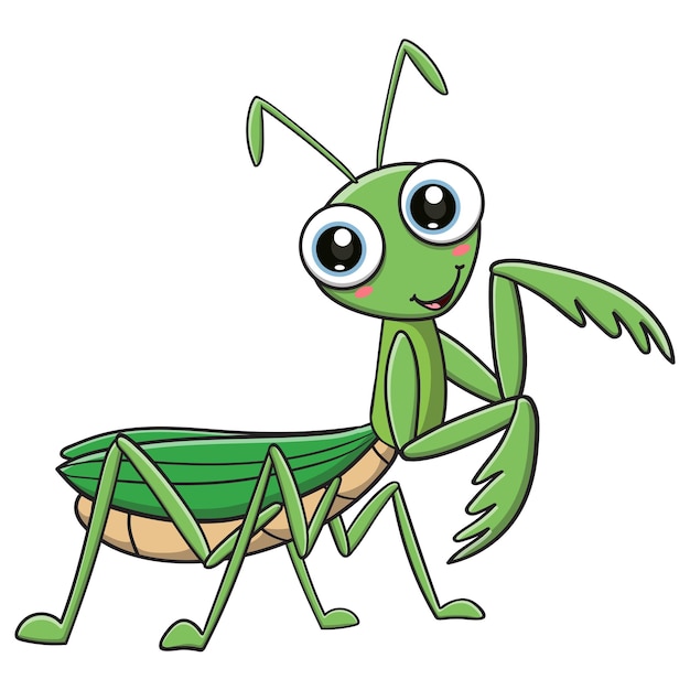 Vector vector illustration of cute mantis grasshopper cartoon