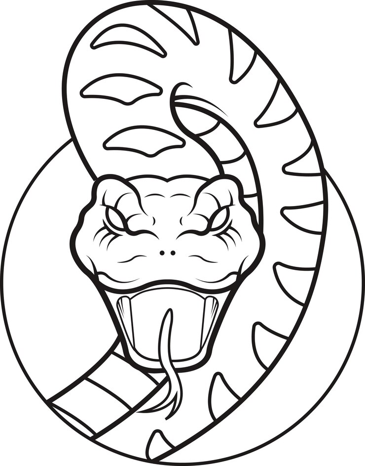 Vector vector illustration of cute snake
