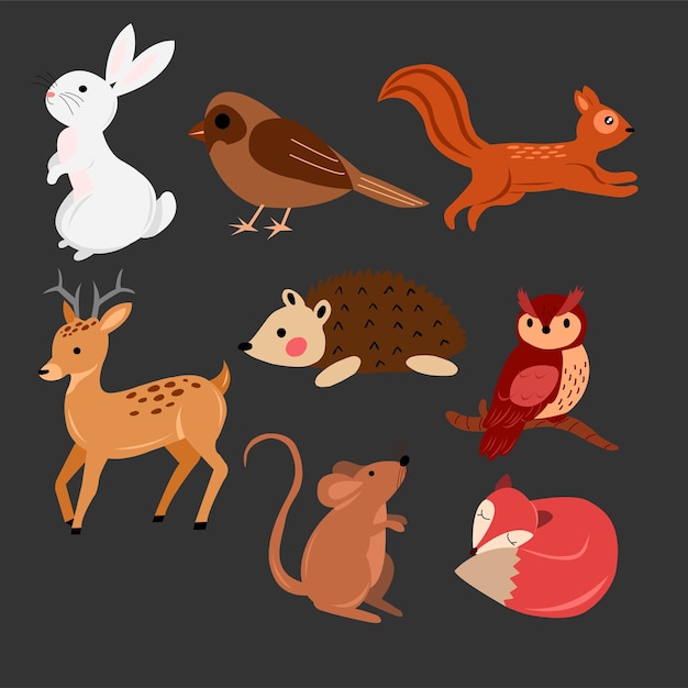 Vector vector illustration of cute woodland forest animals including deer rabbit fox bird owl and squi