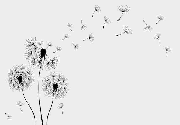 Vector illustration dandelion seed blowing in the wind