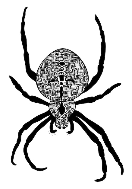 Vector vector illustration of decorative stylized spider