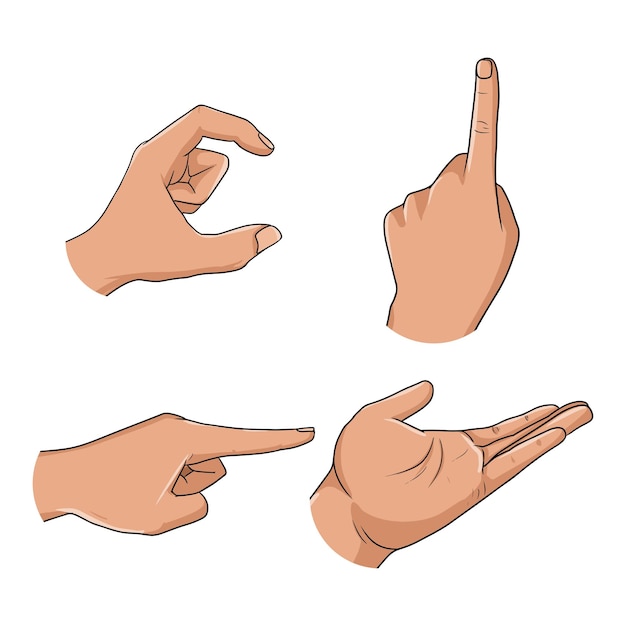 Vector vector illustration of different hand gestures