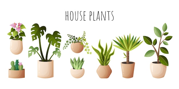 Vettore un'illustrazione vettoriale di diverse piante da appartamento in vasi beige