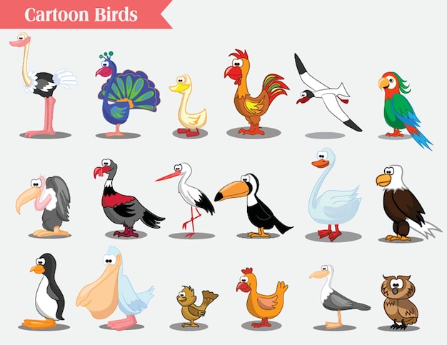 Vector illustration of different kind of birds cute cartoon birds vector illustration