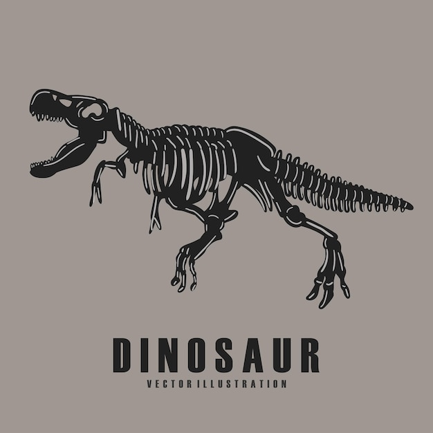 Illustrazione vettoriale di scheletri di dinosauri