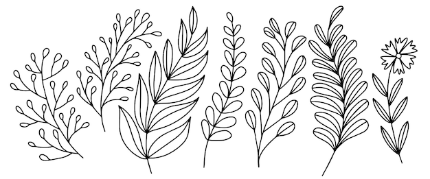 Vector vector illustration of doodle plants