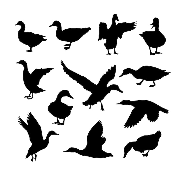Векторная иллюстрация силуэта утки на белом фоне