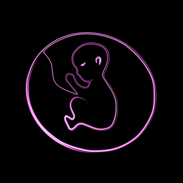 Vector illustration of embryo with neon effect.