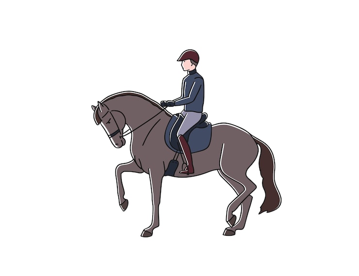 Vector vector illustration of equestrian sport dressage athlete riding horse