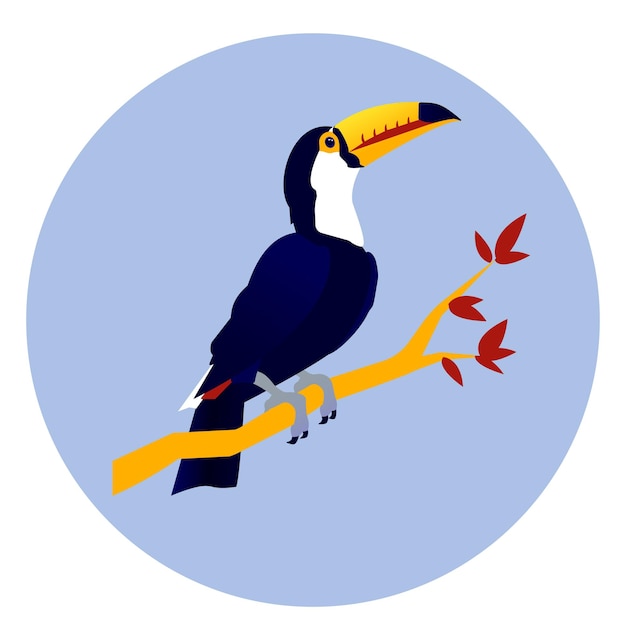 Vector vector illustration of an exotic tropic dark blue bird toucan with a big beak sitting on a brunch