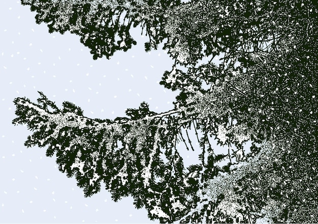 Vector vector illustration of fir branches in winter forest on snowy day