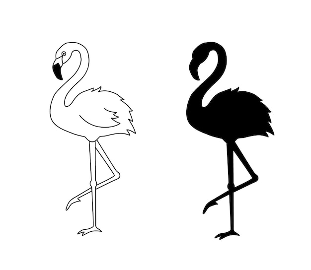 Vector illustration of flamingo in outline style is isolated on white Black silhouette of tropical bird flamingo standing on one leg