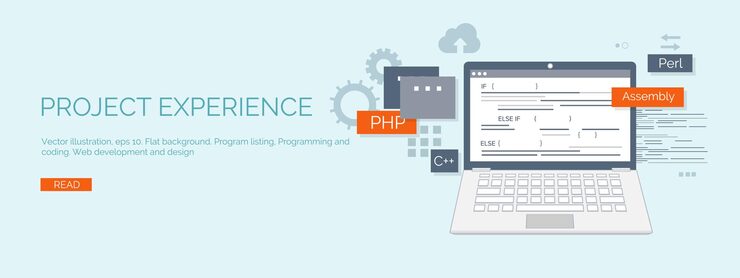 Vector vector illustration flat computing background programming coding web development search engine