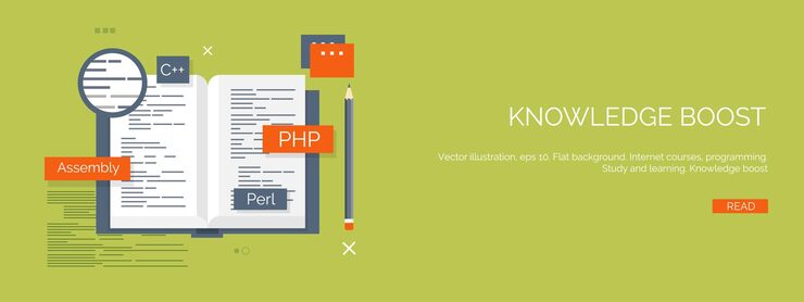 Vector vector illustration flat computing background programming coding web development search engine