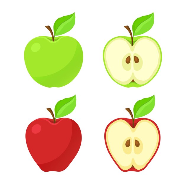 Vector illustration in flat style Set of red and green apples and their pieces with stem and leaf