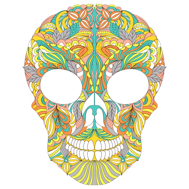 Vector Illustration of floral skull on white background.