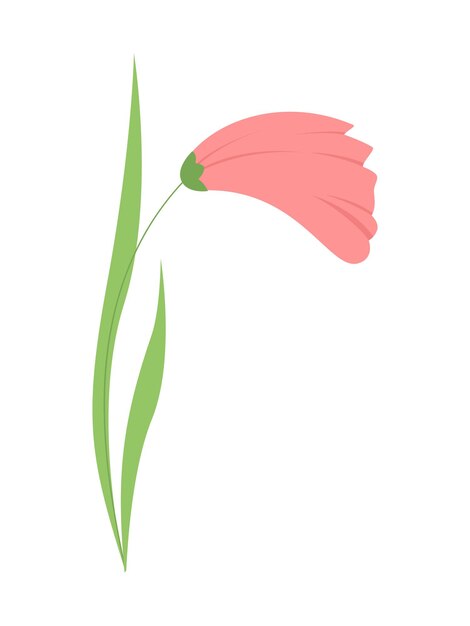 Vector vector illustration flowers for the holiday. decorative flat flower stylized in color. 14 februruary