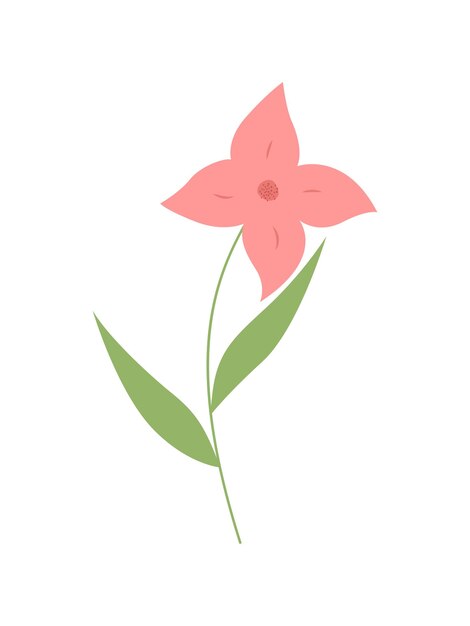 Vector illustration flowers for the holiday. Decorative flat flower stylized in color. 14 februruary