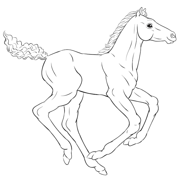 Vector vector illustration of foal black and white illustration of bab yhorse for coloring pages