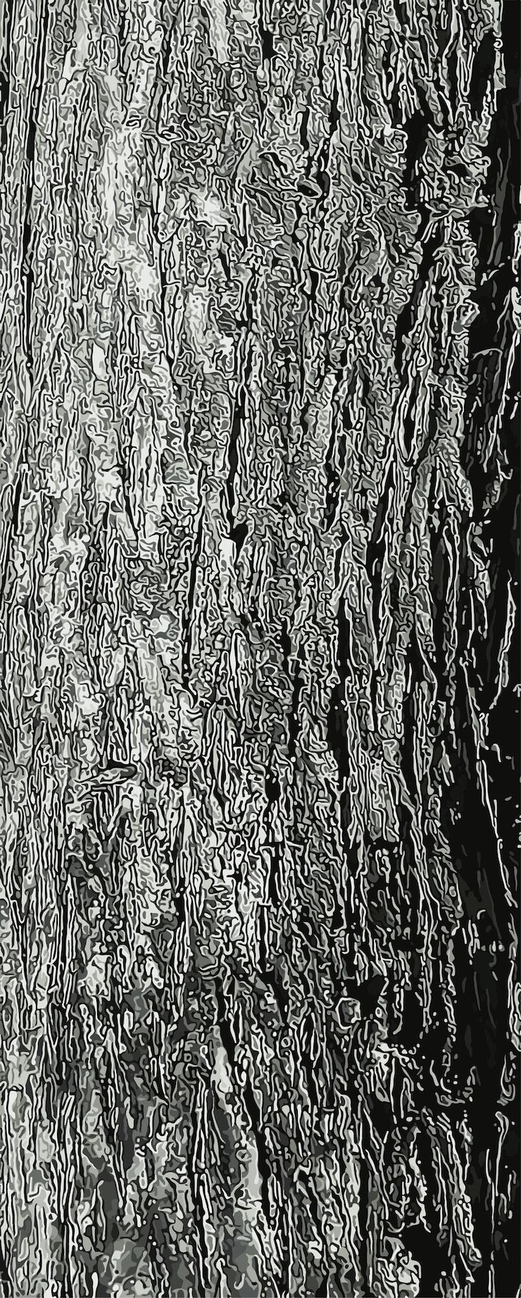 Vector vector illustration of fontanesia phillyreoides bark closeup live wood background fontanesia phillyreoides trunk texture forest nature of skin