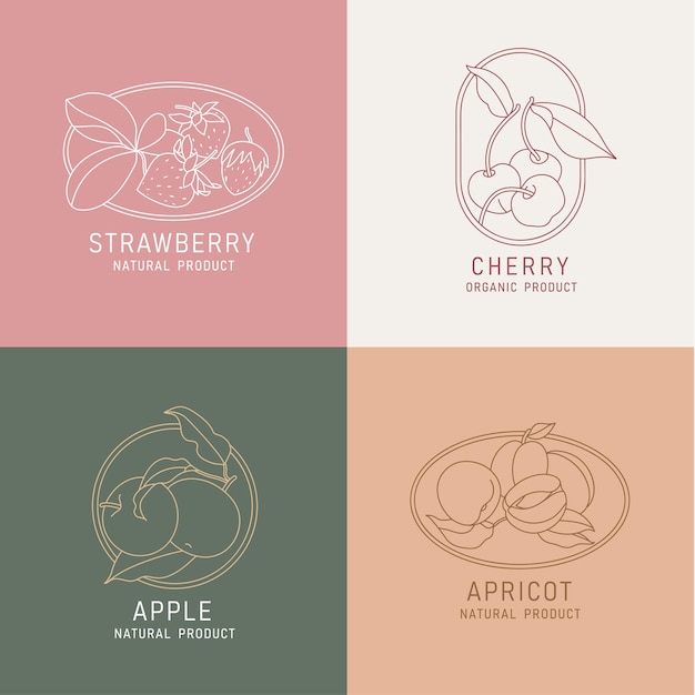 Vector illustration fruits and berries vintage minimalist style Logos set composition in retro botanical style