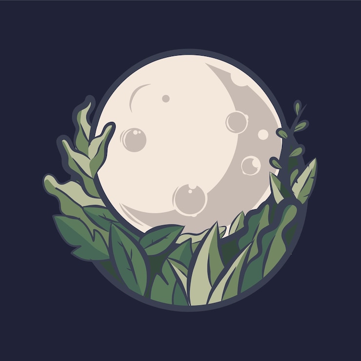 Vector vector illustration of full moon with plant ornament