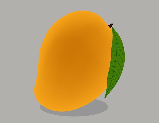 Vector vector illustration of full ripe mango with leaf