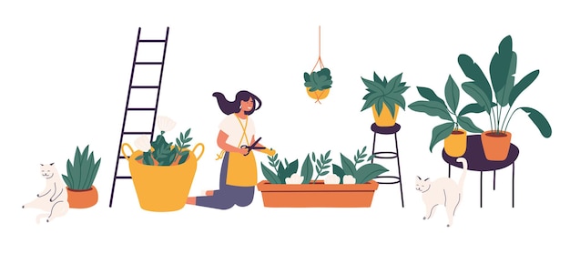 Ragazza di illustrazione vettoriale che si prende cura delle piante d'appartamento che crescono nelle fioriere. giovane donna carina che coltiva piante in vaso a casa.