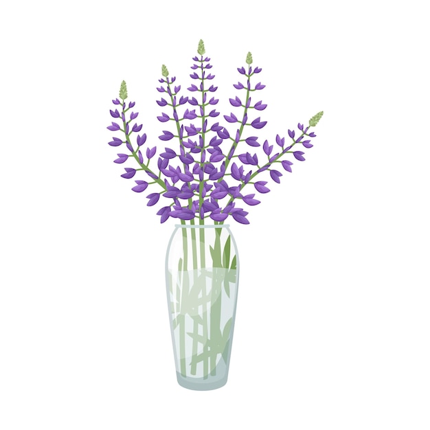 Vector illustration of a glass vase with a bouquet of lupines