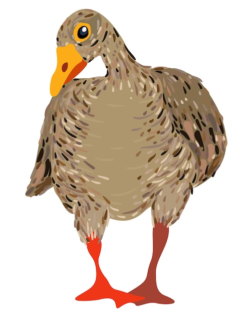 Vector illustration of a goose isolated on white background.