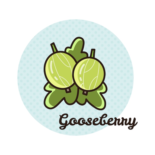 Vector illustration of gooseberry.