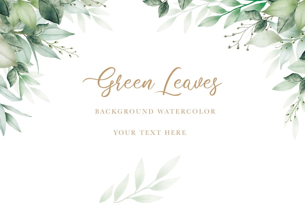 A vector illustration of a green leaves background