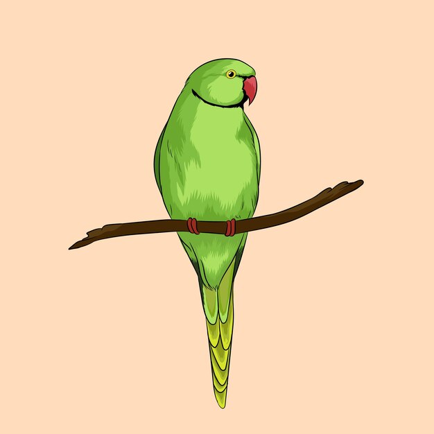 Vector illustration of green Parrot sitting on tree branch.