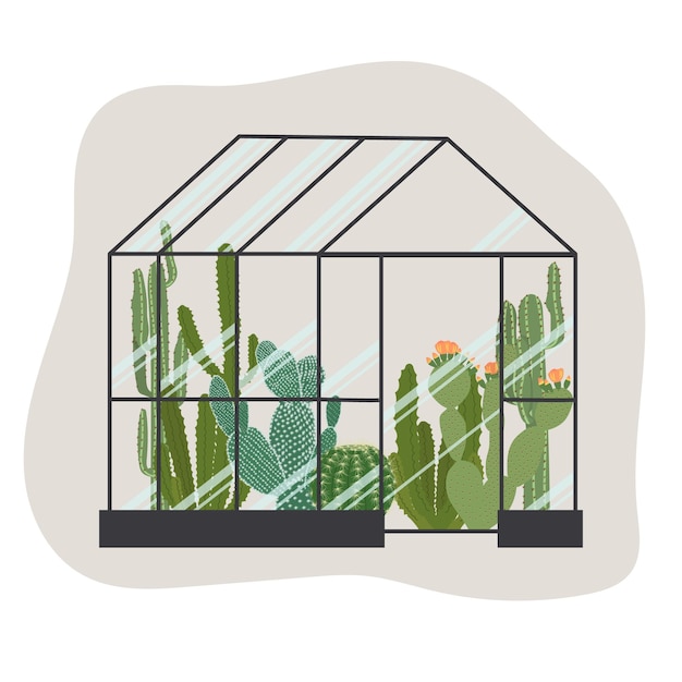 Векторная иллюстрация оранжереи с кактусами разных размеров и форм