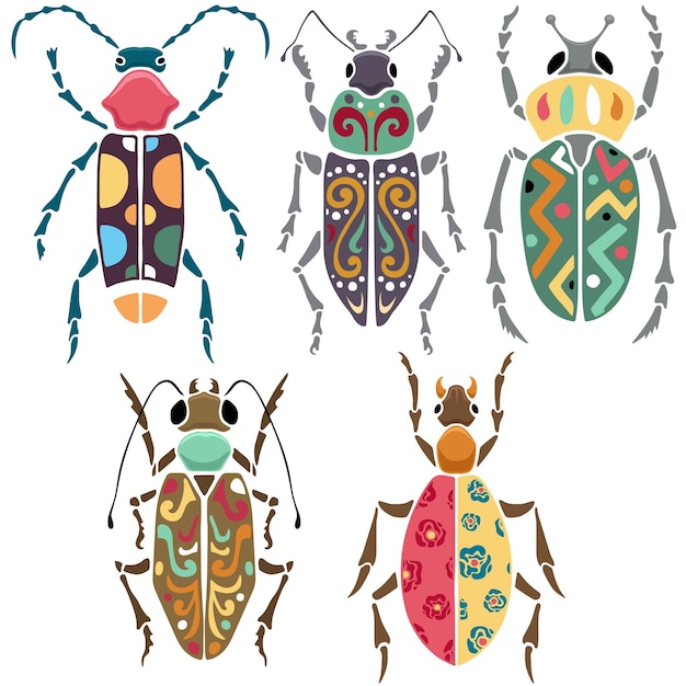 Vector illustration of hand drawn beetles with ornaments