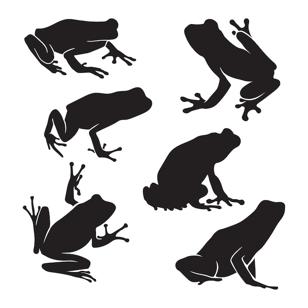 vector illustration hand drawn frog silhouette