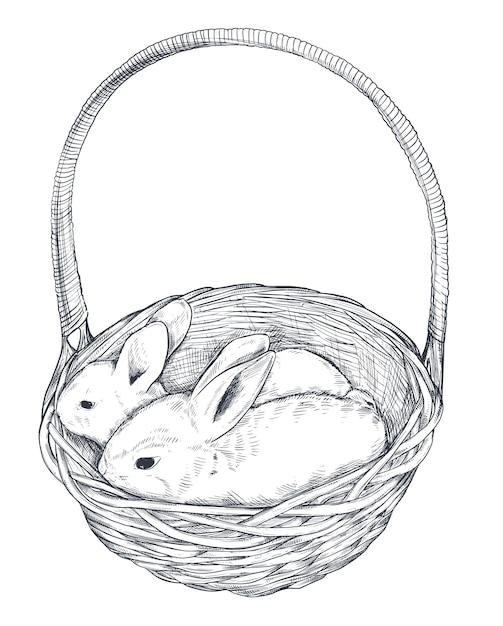 Vector vector illustration of hand drawn rabbits in the basket. realistic sketch easter illustration in black and white colors