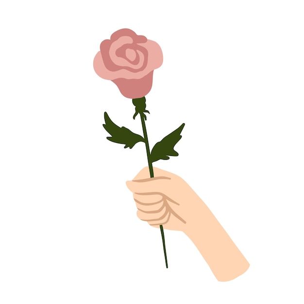 Vector illustration of a handdrawn rose flower in a human hand isolated on a white background