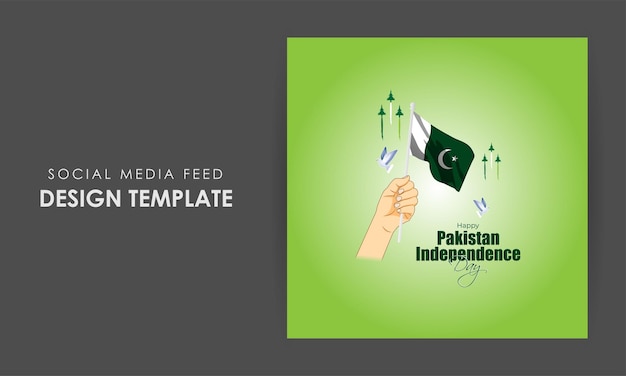 Vector illustration of Happy Pakistan Independence Day social media story feed mockup template