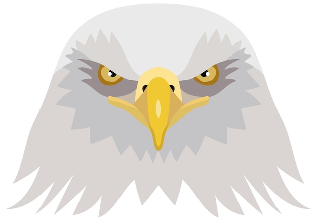 Vector vector illustration of the head of an american bald eagle foreground vector graphics isolated on white background