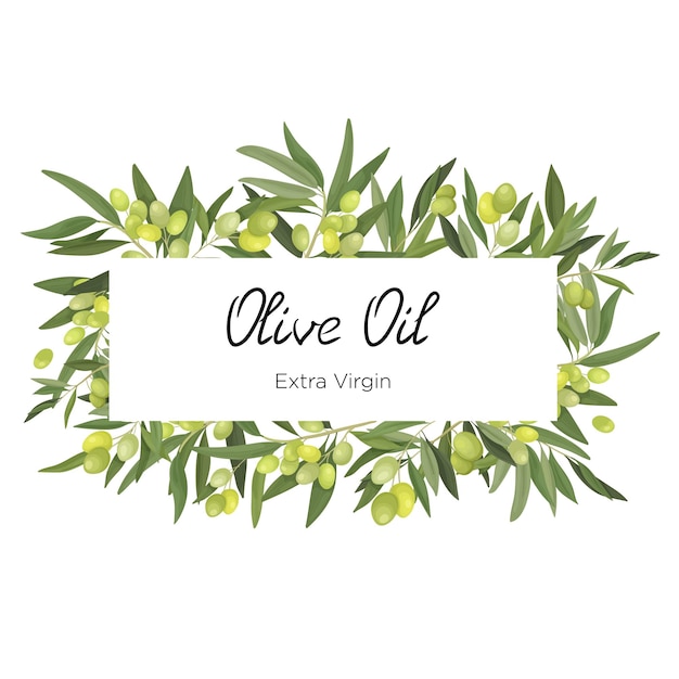 Vector vector illustration of a horizontal rectangular frame made of olive branches and fruits in a cartoon style olive frame for virgin oil packaging and label and banner