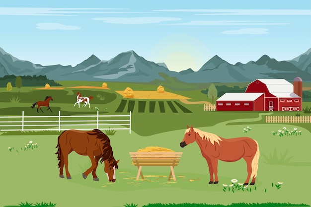 Vector illustration of horse farm and agriculture Rural landscape with farm and horses eating grass