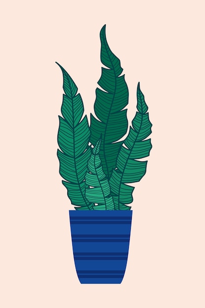 Vector vector illustration of a houseplant in a pot