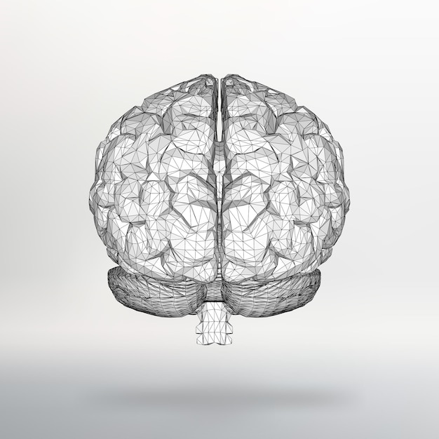 ベクトルイラスト人間の脳。ポリゴンの構造グリッド。